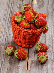 Image showing Forest Strawberries