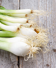 Image showing Spring Onion