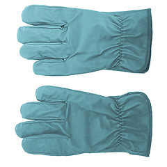 Image showing Gloves picture