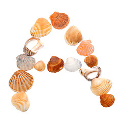 Image showing Letter A composed of seashells