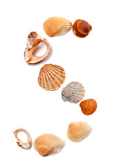 Image showing Letter S composed of seashells