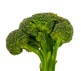 Image showing Broccoli 