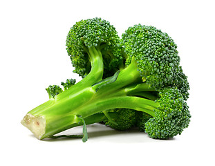 Image showing Broccoli isolated on white background