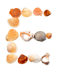 Image showing Letter E composed of seashells