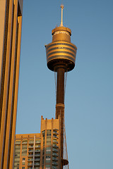 Image showing Sydney Tower