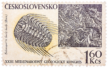 Image showing Stamp printed in Czech (Czechoslovakia) shows trilobite and barr