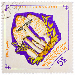 Image showing Stamp printed by Mongolia, shows mushroom