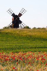 Image showing Field of poppies in front of an old windmill