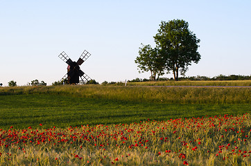 Image showing Landscape with a field of poppies and an old windmill