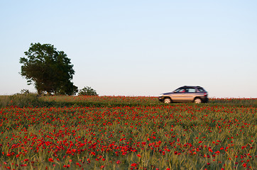 Image showing Blurred car in a red summer landscape