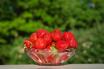 Image showing Bowl with fresh strawberries at green background