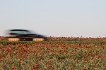 Image showing Blurred car in a poppy field