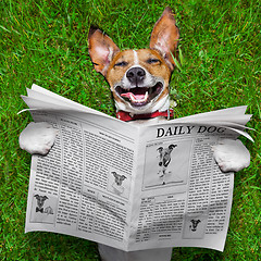 Image showing dog reading newspaper 