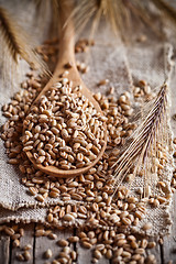 Image showing wheat grain in wooden spoon 