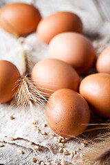 Image showing  fresh brown eggs, wheat seeds and ears