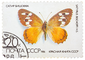 Image showing Stamp printed in the USSR (Russia) shows a Butterfly with the in