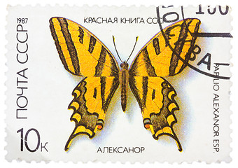 Image showing Stamp printed in the USSR shows butterfly Papilio alexanor