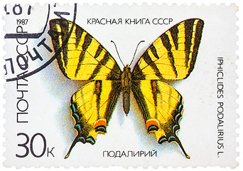 Image showing Stamp printed in the USSR shows butterfly Iphiclides podalirius