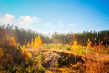 Image showing Autumn Landscape With Colorful Forest. Russian Nature