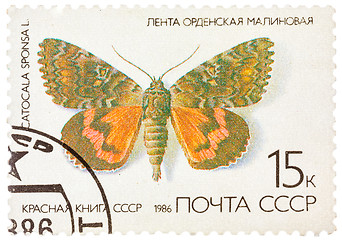 Image showing Stamp printed in the USSR (Russia) shows a Butterfly with the in