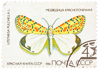 Image showing Stamp printed in USSR, shows Butterfly Utetheisa pretty Utetheis