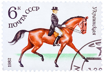 Image showing Stamp printed in USSR shows a Ukrainian sports horse for Dressag