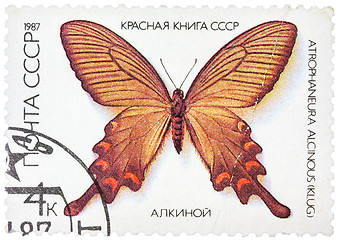 Image showing Stamp printed in the USSR shows butterfly 
Alcinous, series