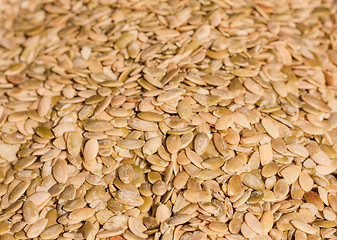 Image showing Close Up Of Organic Pumkin Seeds