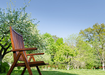 Image showing brown garden chair spring garden tree background 