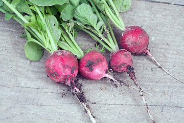 Image showing radish