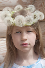 Image showing little girl in white dandelion crown