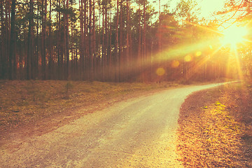 Image showing Forest road sunset sunbeams