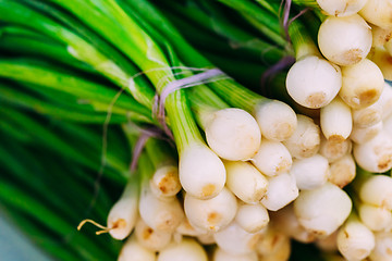 Image showing Fresh organic young raw green onion for selling at vegetable mar