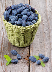 Image showing Honeysuckle Berries