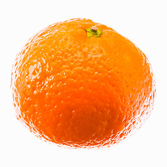 Image showing Ripe Mandarin