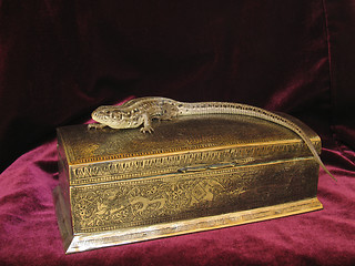 Image showing Lizard on the lid of old indian casket