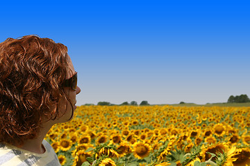 Image showing Field of Beauty