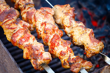 Image showing grilled caucasus barbecue