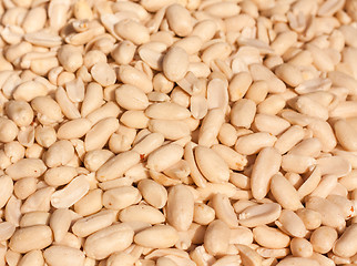 Image showing Peanuts Background