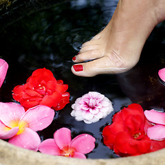 Image showing Foot Spa