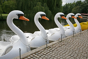 Image showing Swans - Odense Denmark