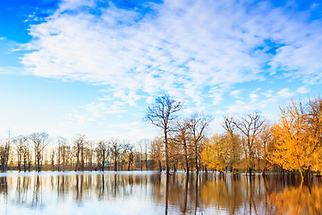 Image showing Spring Landscape