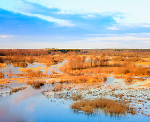 Image showing Spring Landscape