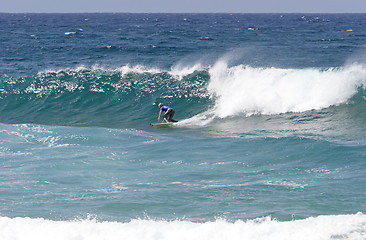 Image showing Surfing
