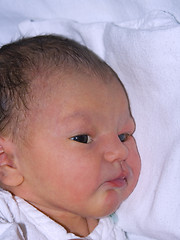 Image showing Newborn portrait