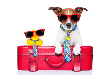 Image showing dog on vacation