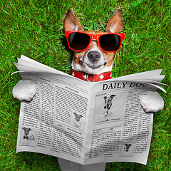 Image showing dog reading newspaper 