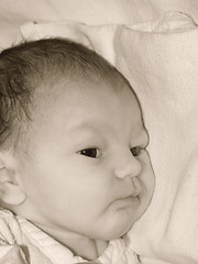 Image showing Newborn portrait