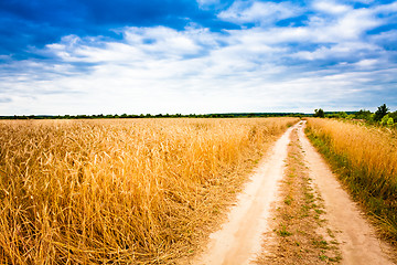 Image showing Rural Countryside Road Through Fields With Wheat