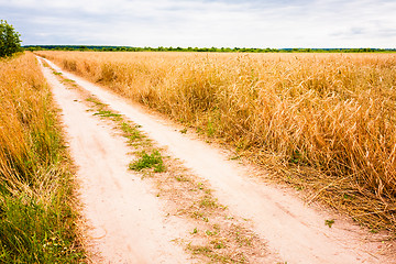 Image showing Rural Countryside Road Through Fields With Wheat